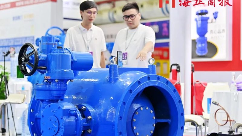 水锤消除器与止回阀：功能差异与适用场景解析